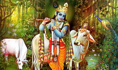 lord-krishna