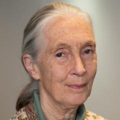 Jane Goodall